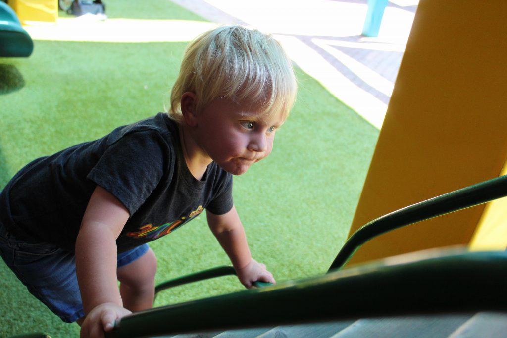 photo of a little kid climbing a jungle gym at zootampa